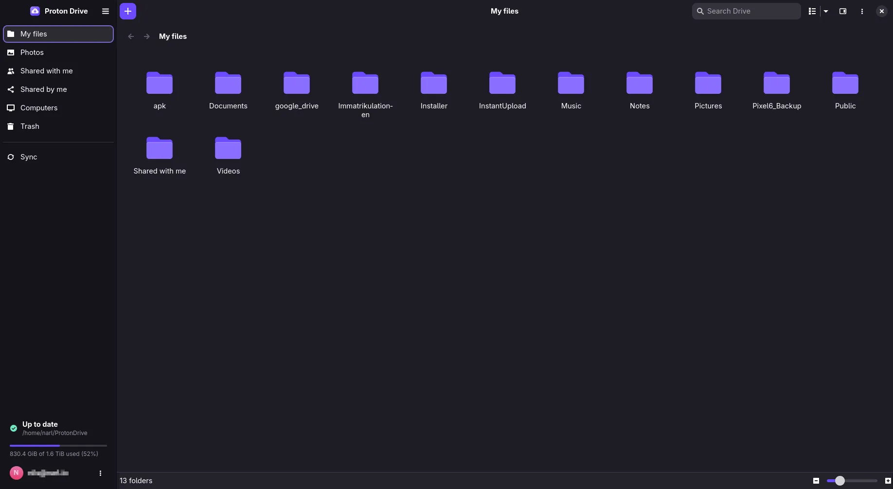My files in the Proton Drive for Linux app